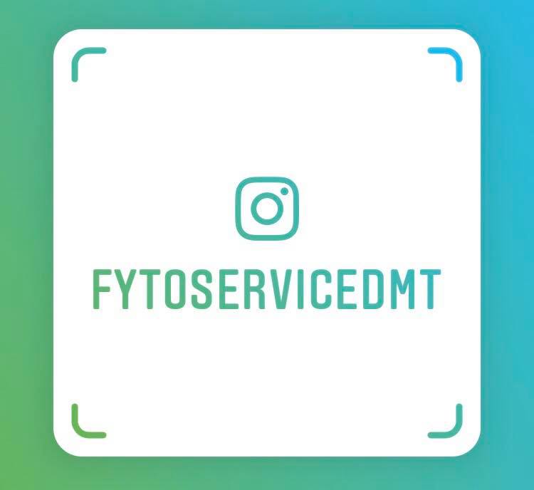 Volg Ons Op Instagram!